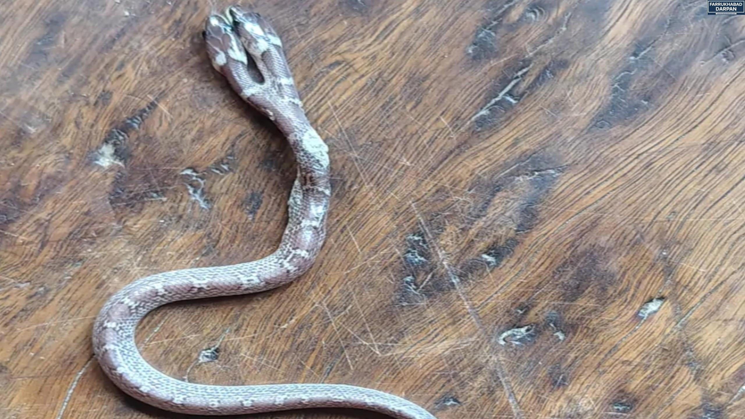 फर्रुखाबाद