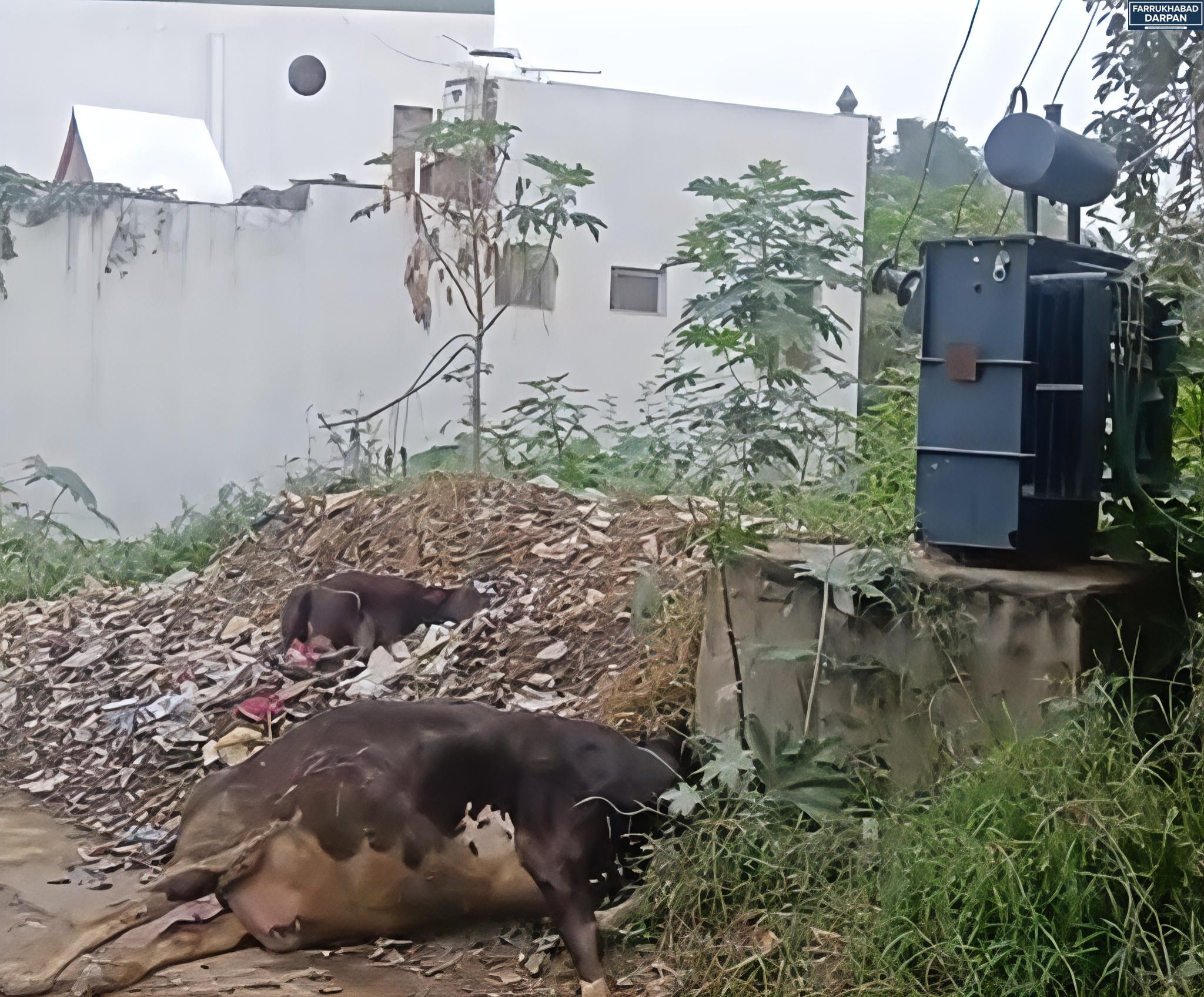 कायमगंज