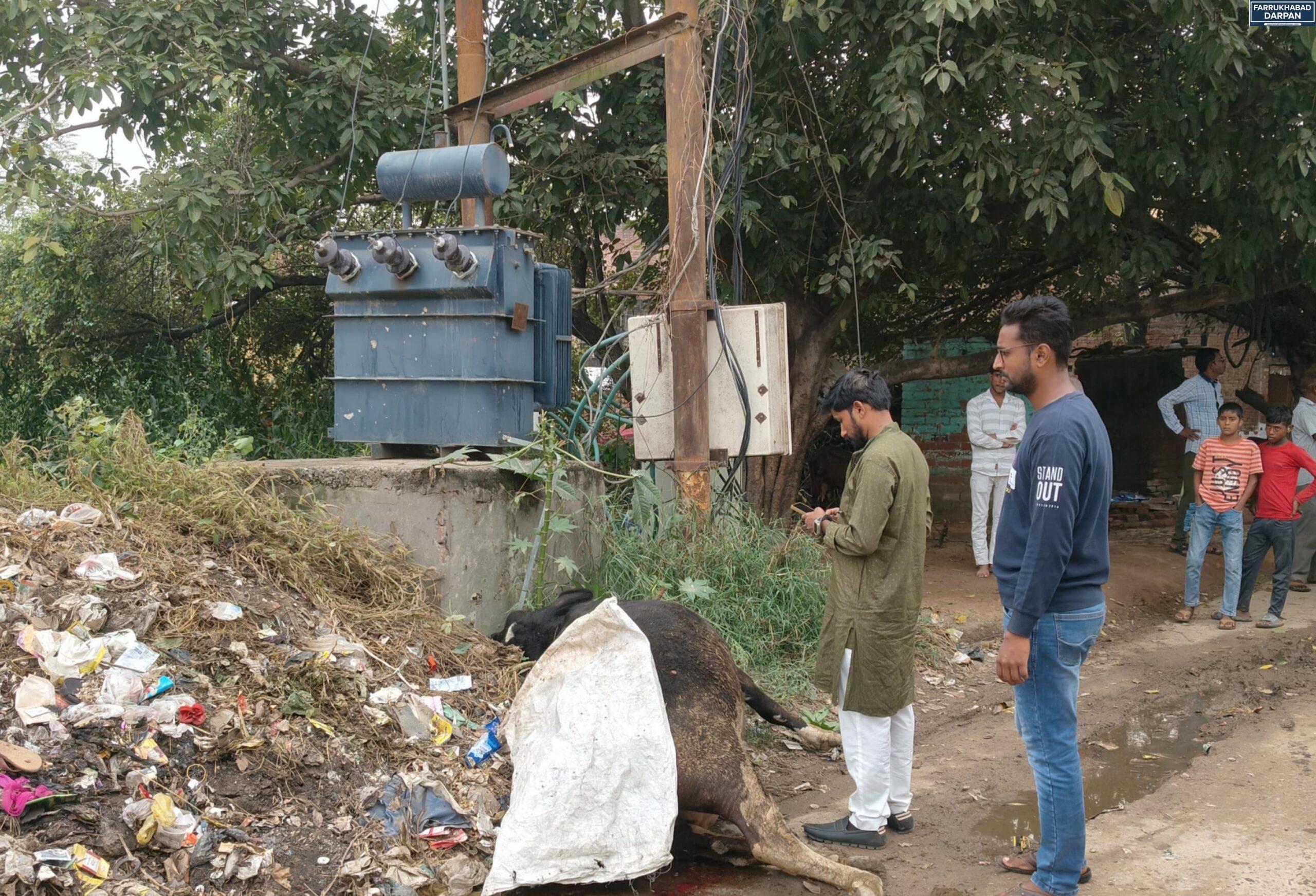 कायमगंज