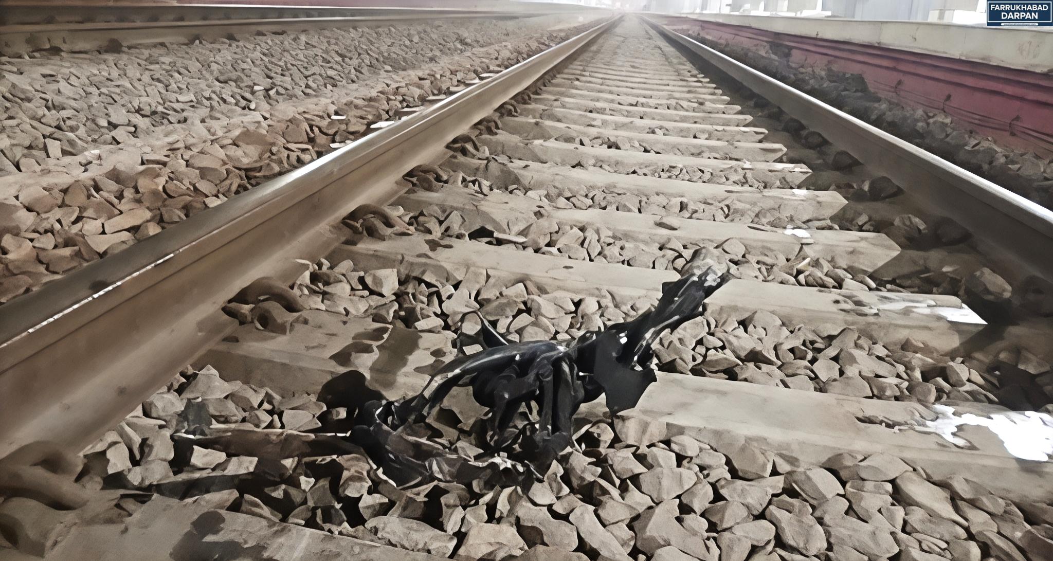 शाहजहांपुर