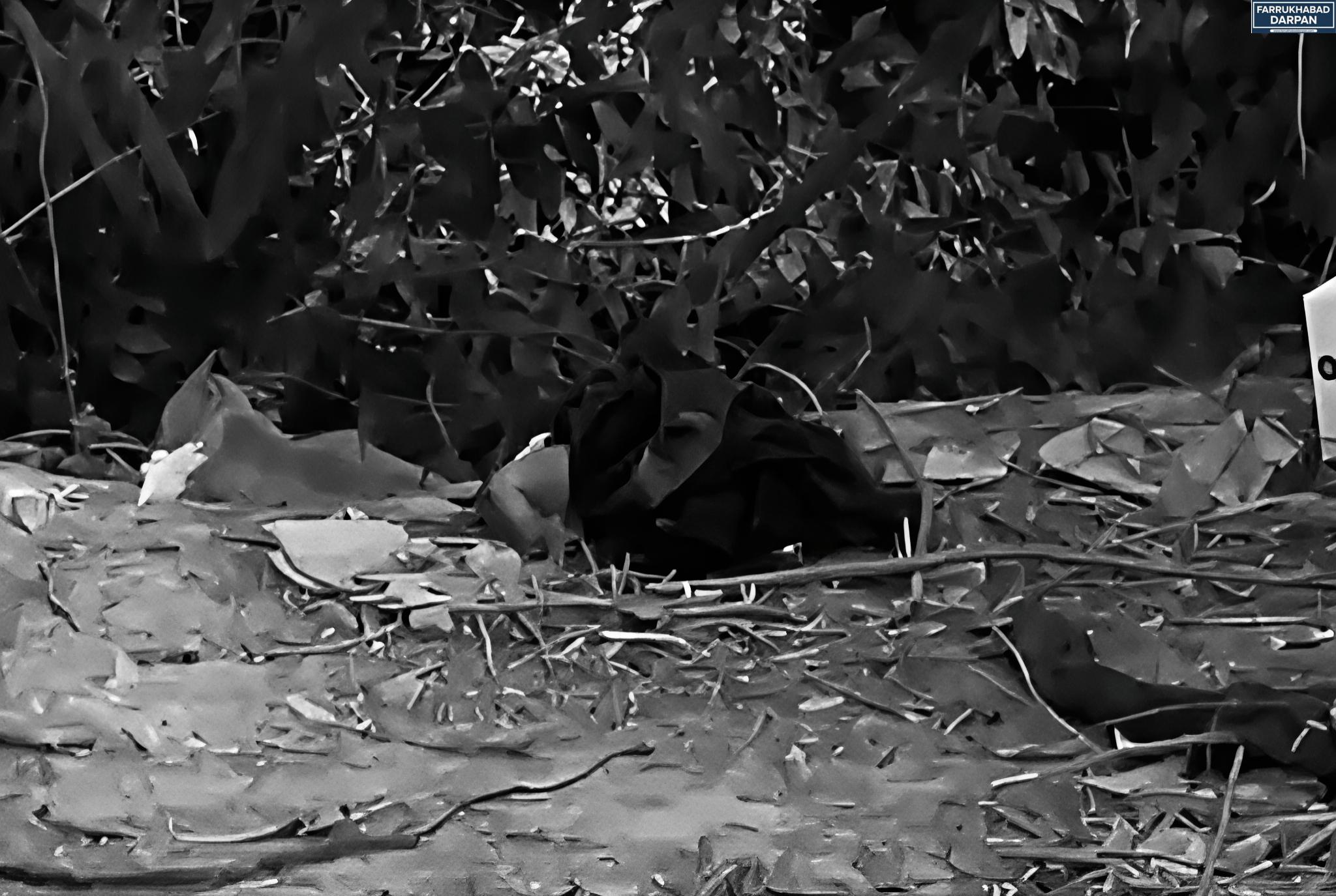 फर्रुखाबाद 