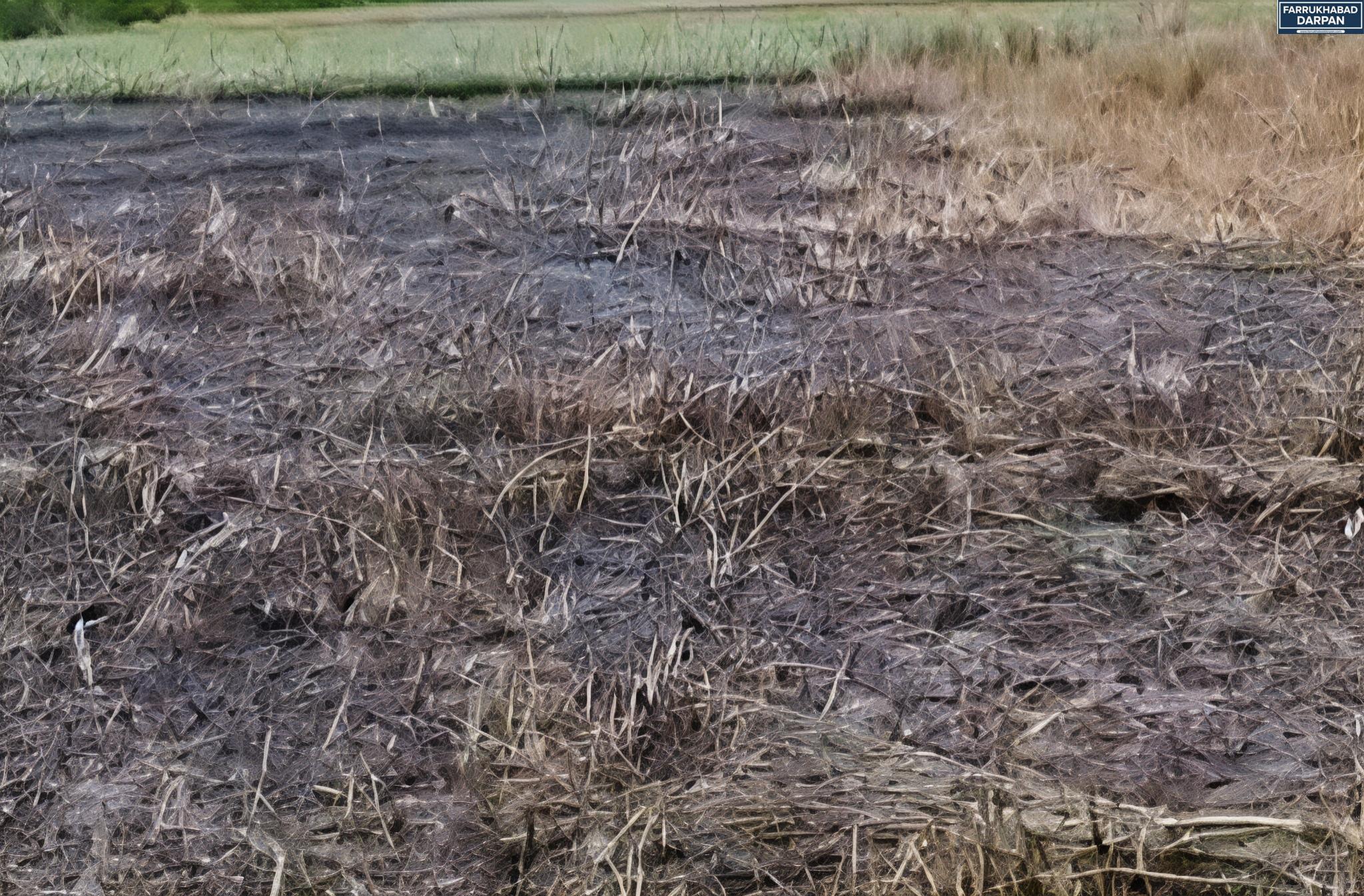 कायमगंज 