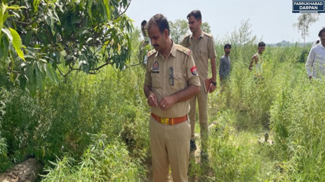 कम्पिल