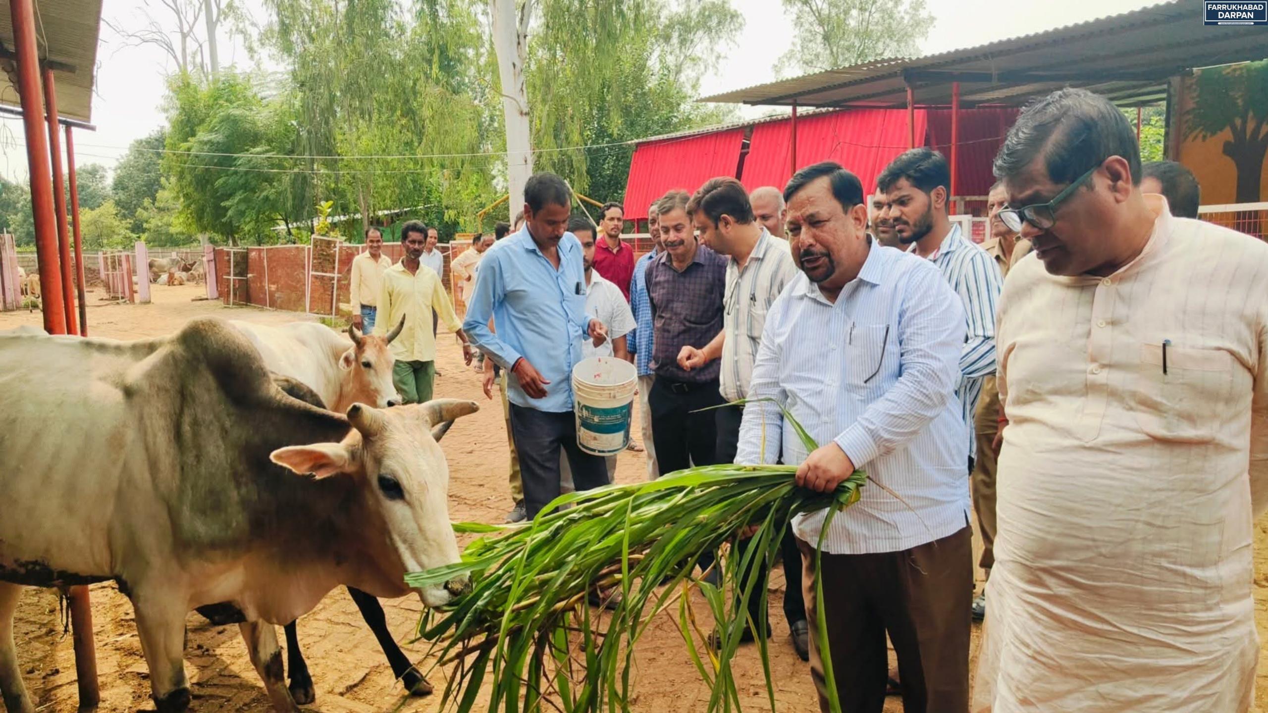 फर्रुखाबाद